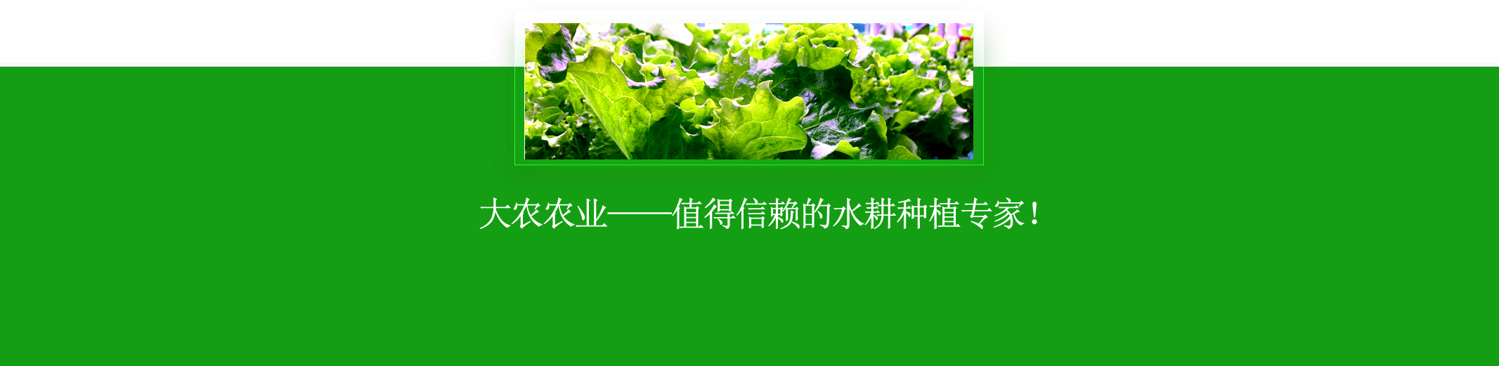 &#20048;&#40060;&#40;&#20013;&#22269;&#41;&#108;&#101;&#121;&#117;